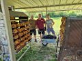 09_Hendlgrillen im Park